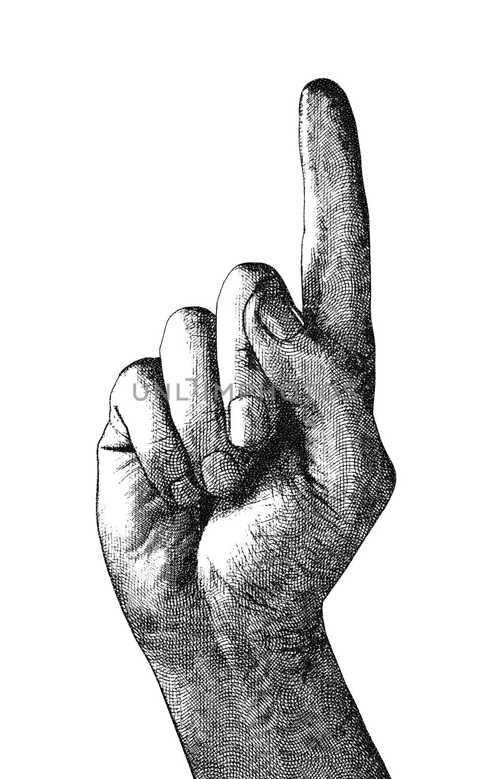 Original digital illustration of a pointing finger, in style of old engravings.