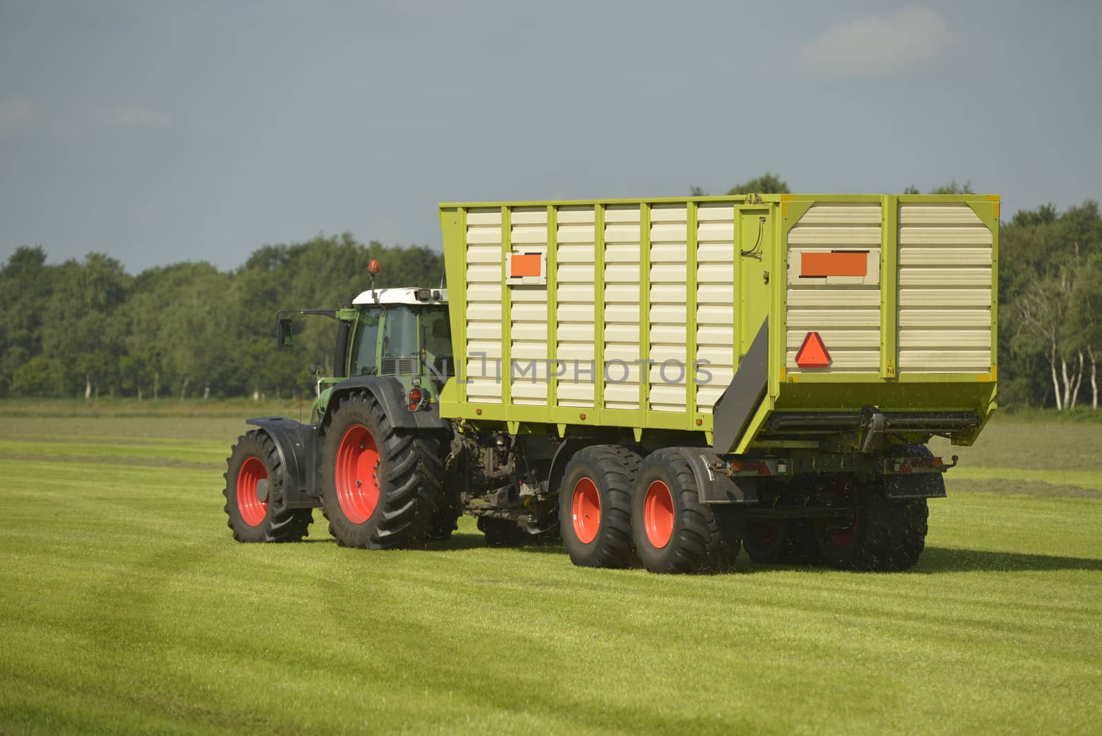 Transport of cut grass with green tractor and grass trailer
 by Tofotografie