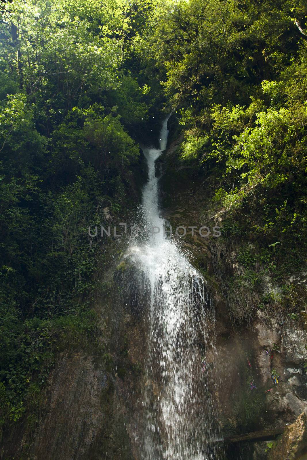 The falls in mountains flow from above and rustle