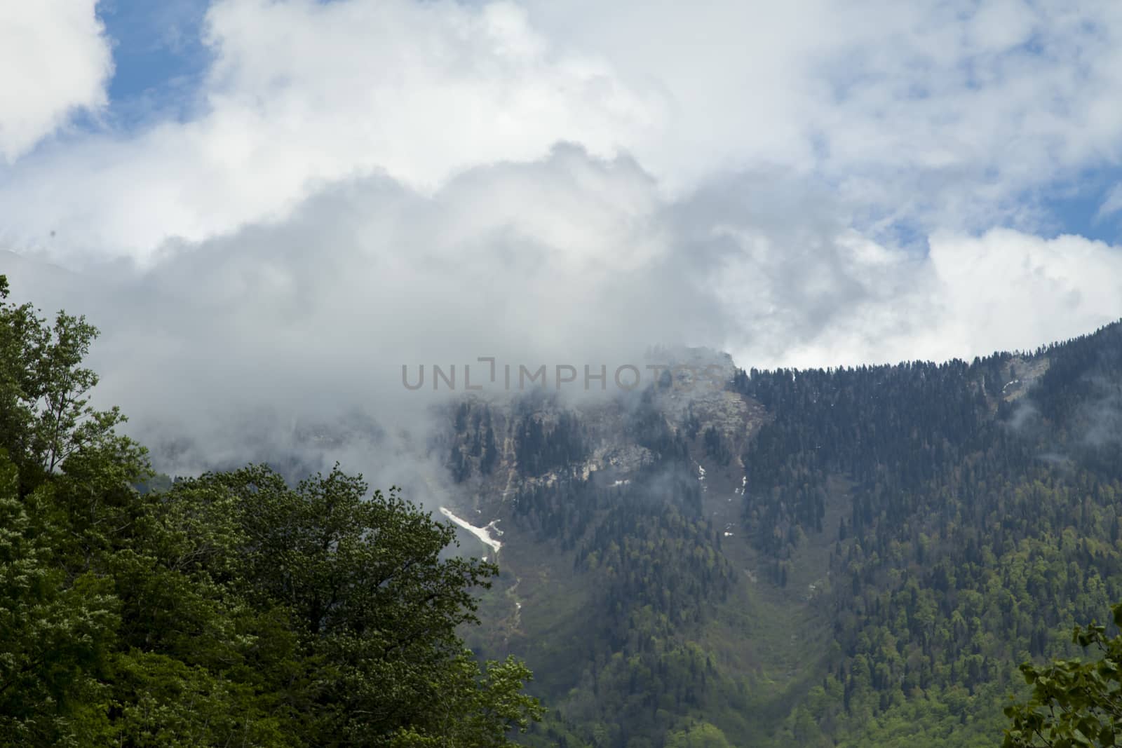 Mountains are covered with snow and the wood and surrounded with clouds