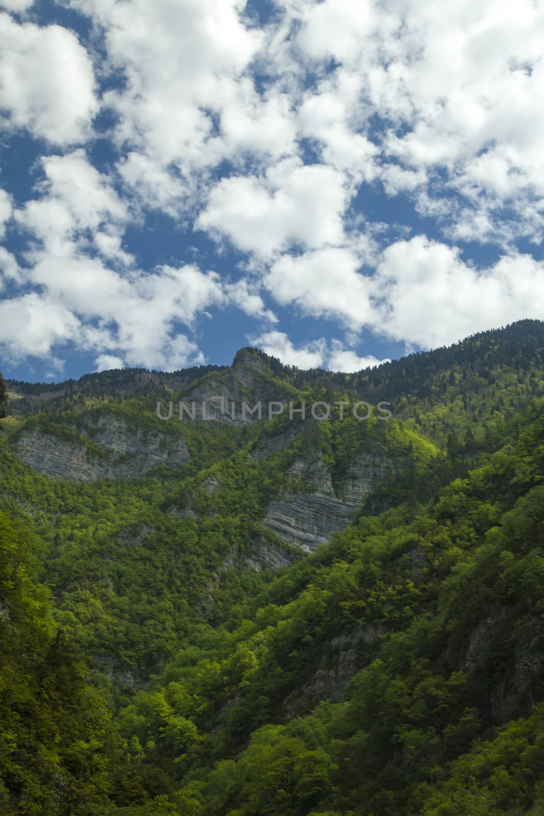 Mountains are covered with snow and the wood and surrounded with clouds