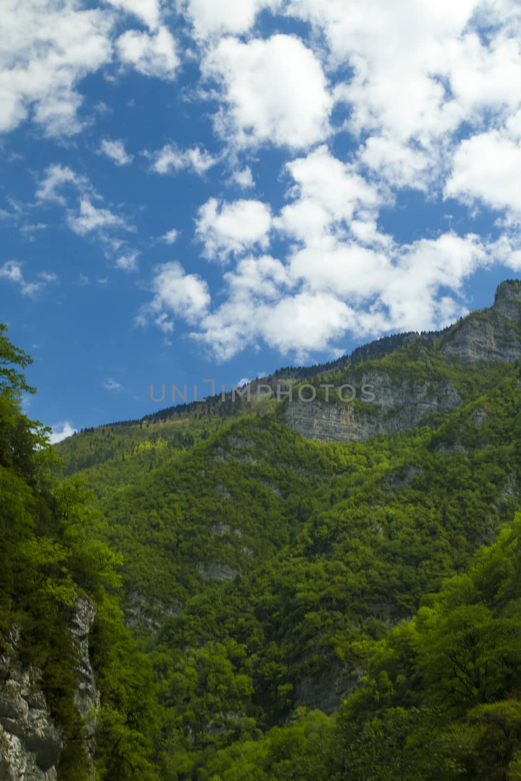 Mountains are covered with snow and the wood and surrounded with clouds