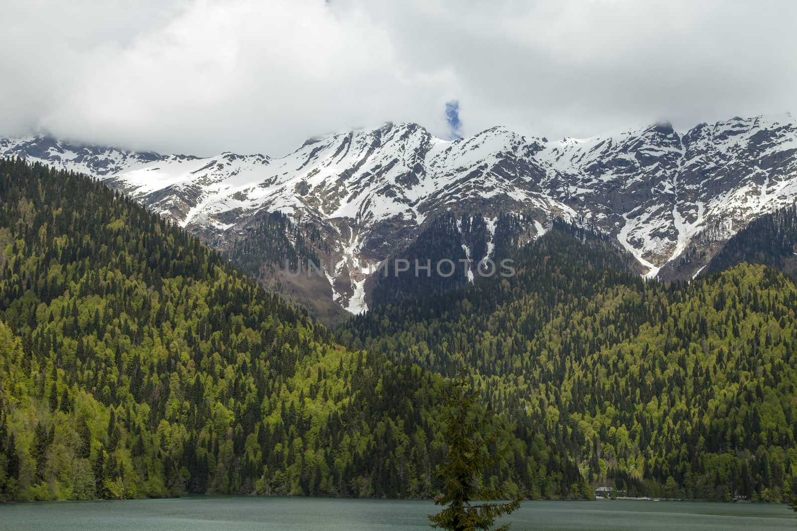 Mountains are covered with snow and the wood and surrounded with clouds