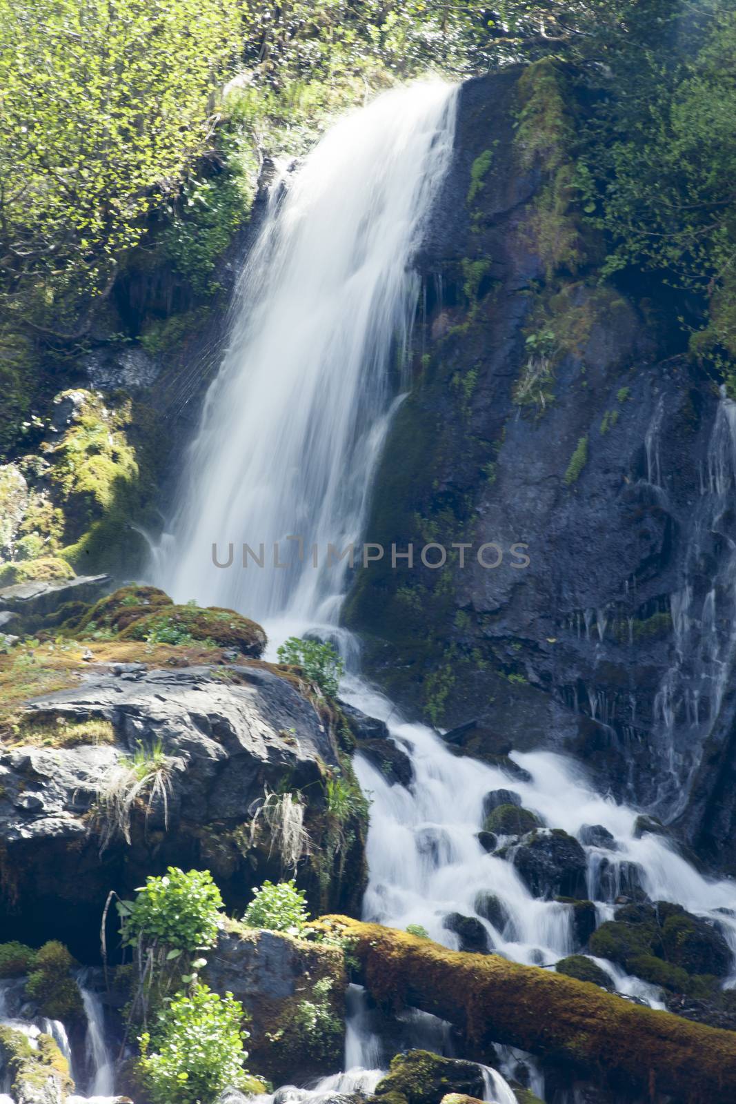 The falls in mountains flow from above and rustle