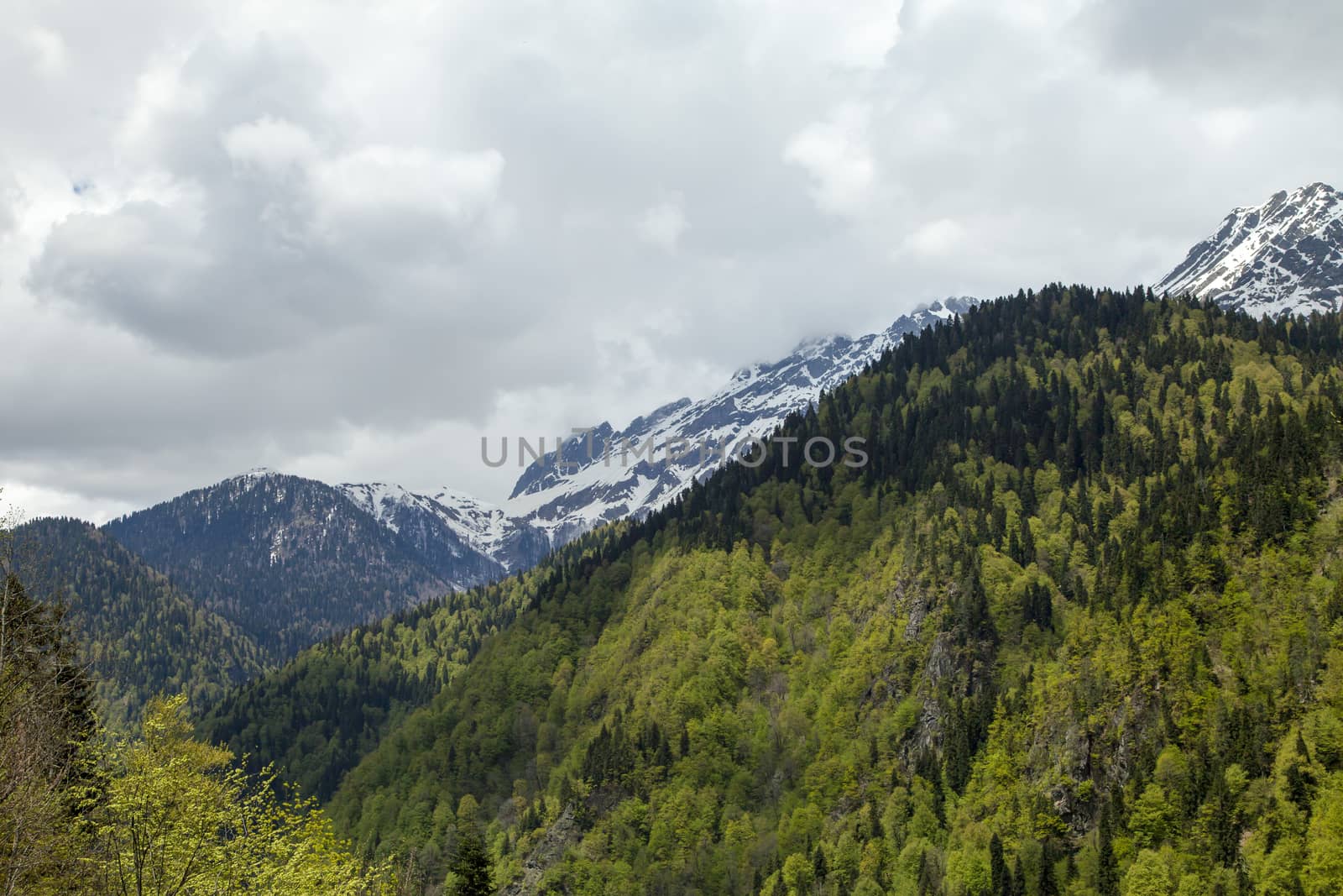 Mountains are covered with snow and the wood and surrounded with clouds