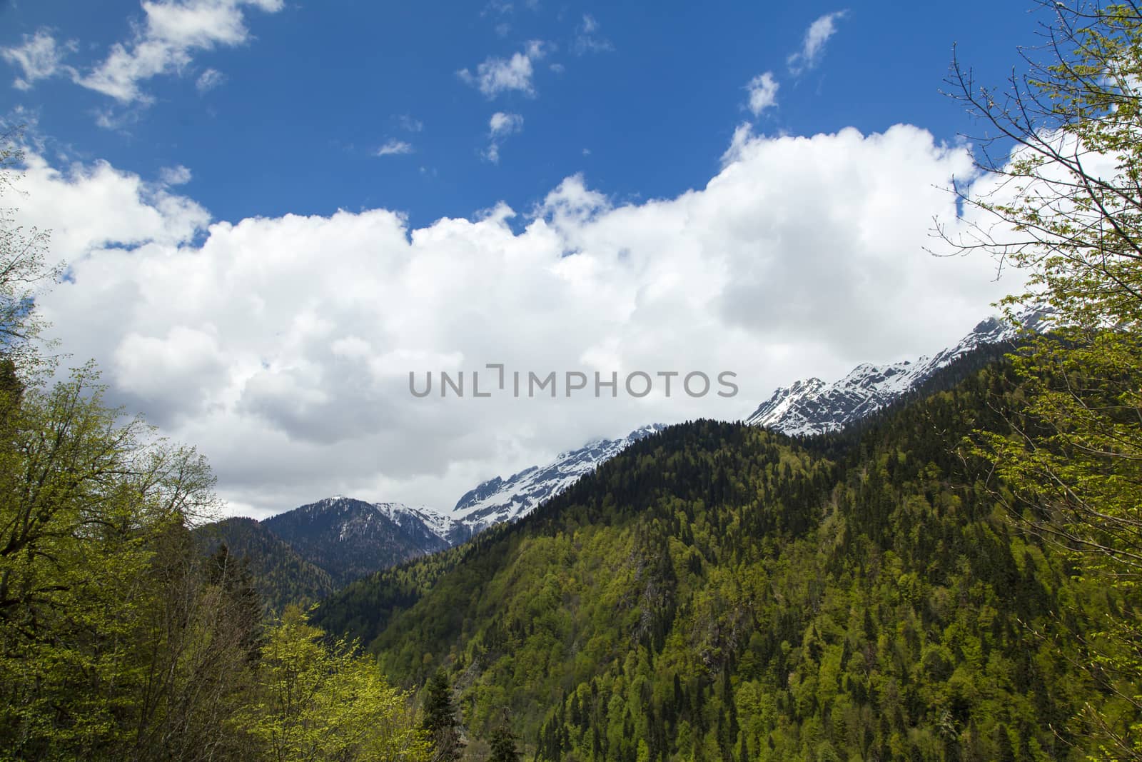 Mountains are covered with snow and the wood and surrounded with clouds