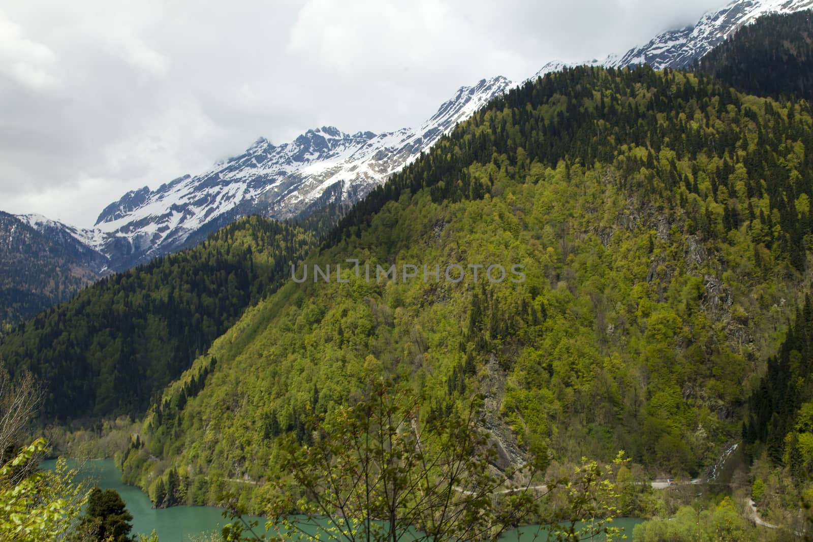 Mountains are covered with snow and the wood and surrounded with clouds