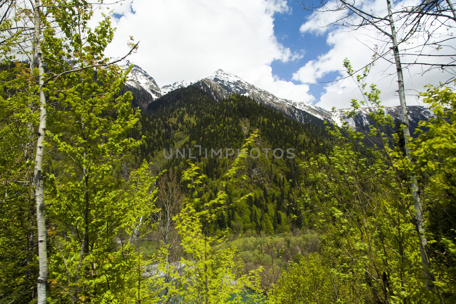 Mountains are covered with snow and the wood and surrounded with clouds