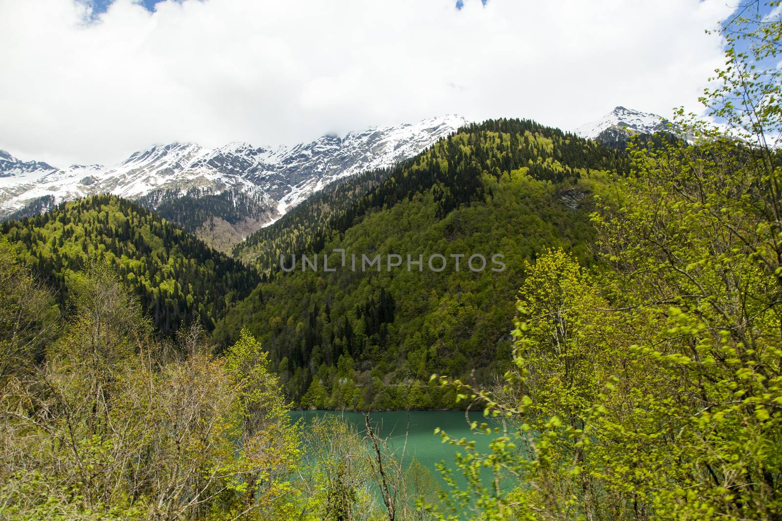 Mountains are covered with snow and the wood and surrounded with clouds