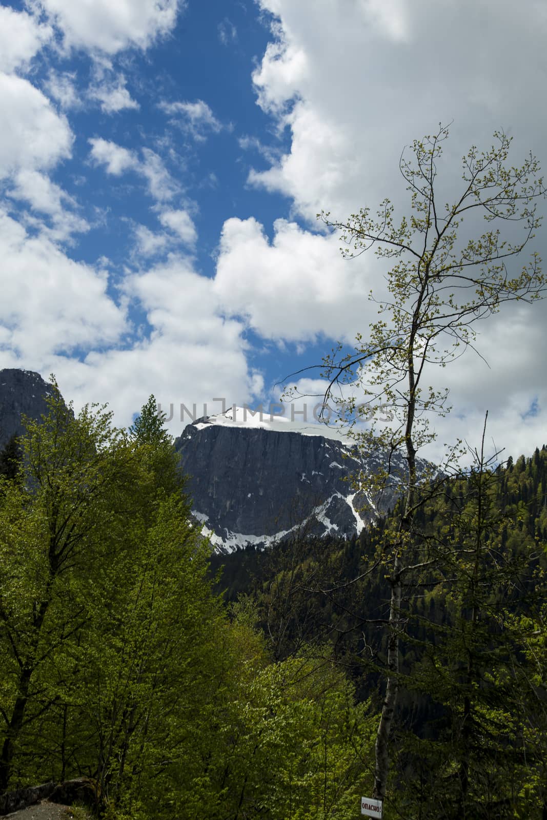 Mountains are covered with snow and the wood and surrounded with clouds