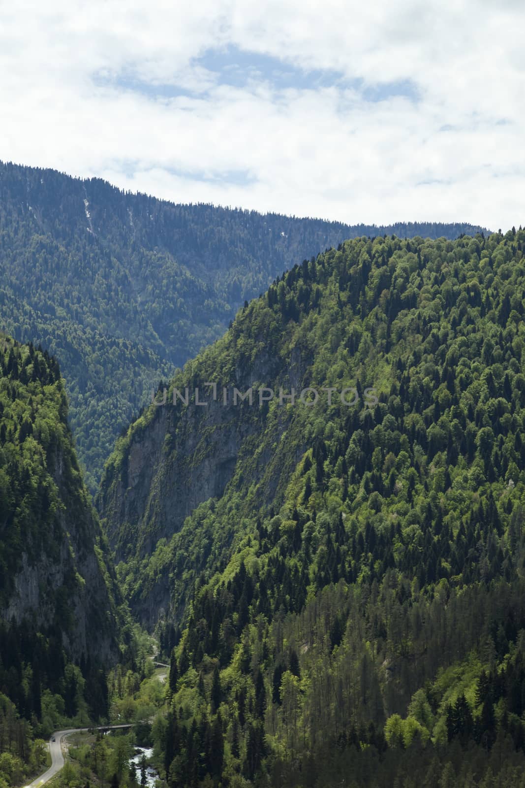 Mountains are covered with snow and the wood and surrounded with clouds