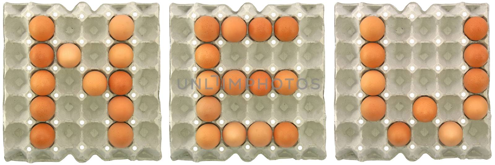 NEW word from eggs in paper tray for food or nutrition concept