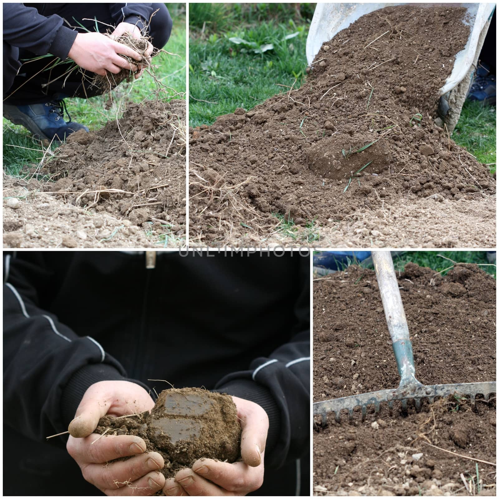 Gardening  concept. Collage of tools and soil in a hands