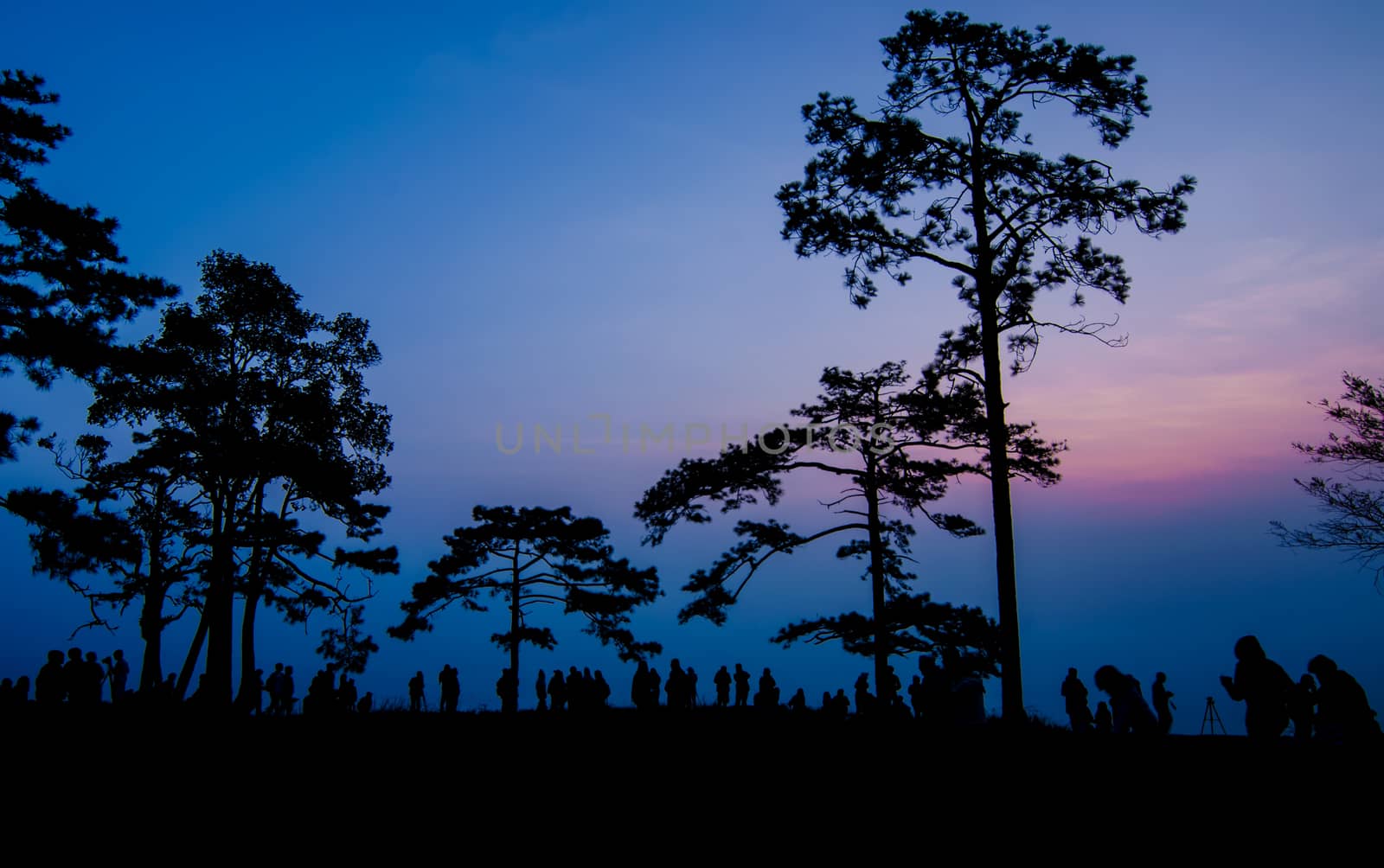 Silhouette of tourist at top of mountain wait for see sunrise