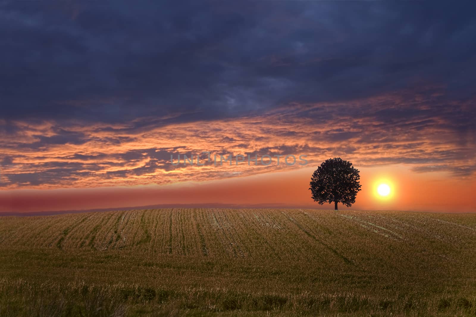 Field and sky. by satariel