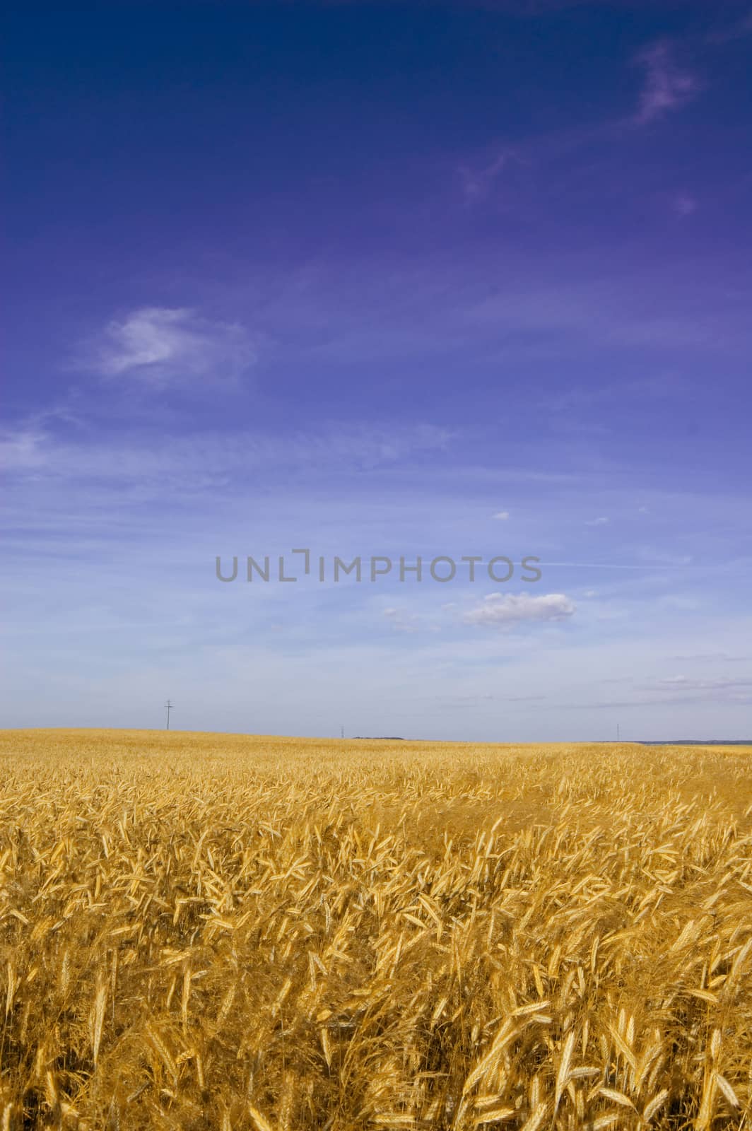 Summer landscape. by satariel