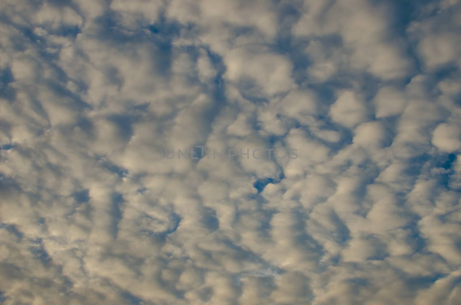 Nice clouds with sunrise light