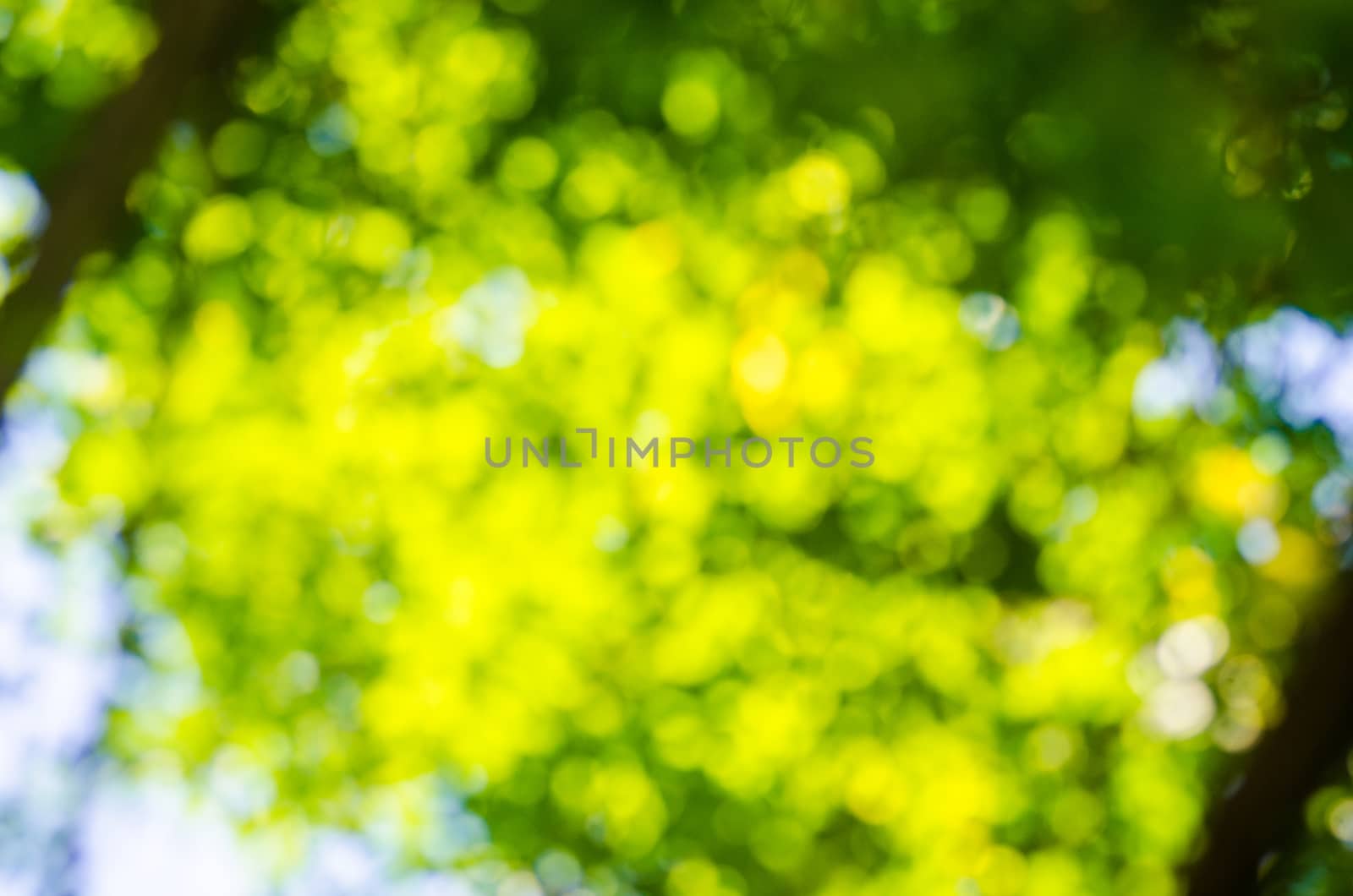 Abstract defocused background by pixbox77