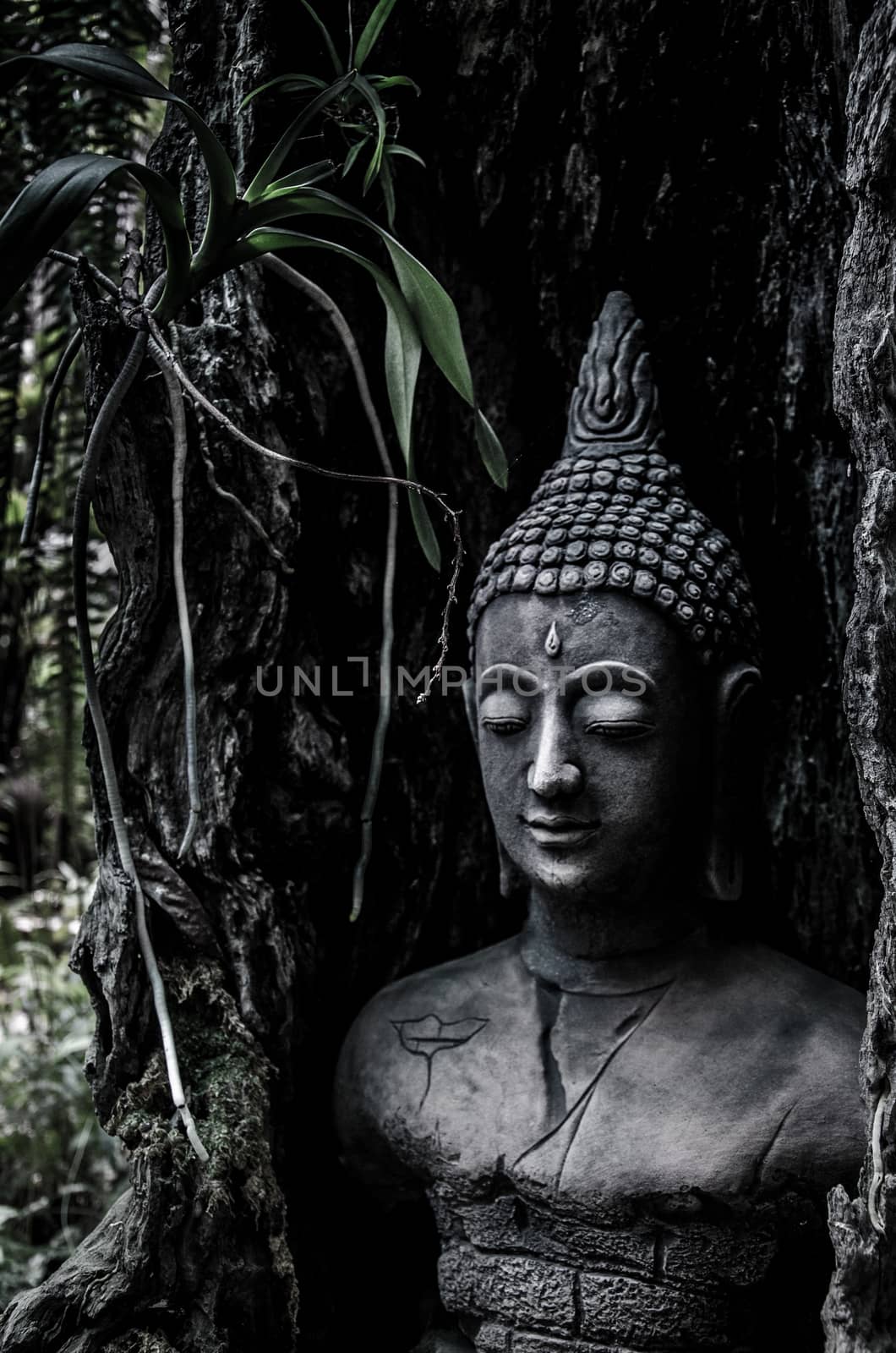 Buddha idol in old tree for garden  by pixbox77