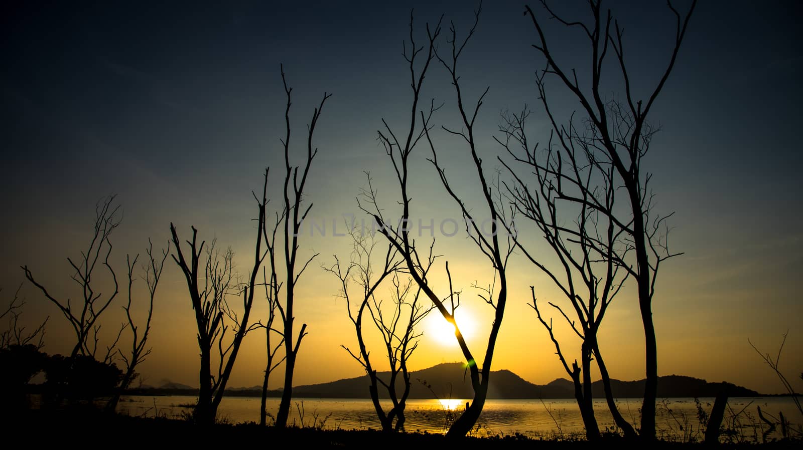 Dried tree beside lake and mountain with sunset sky background