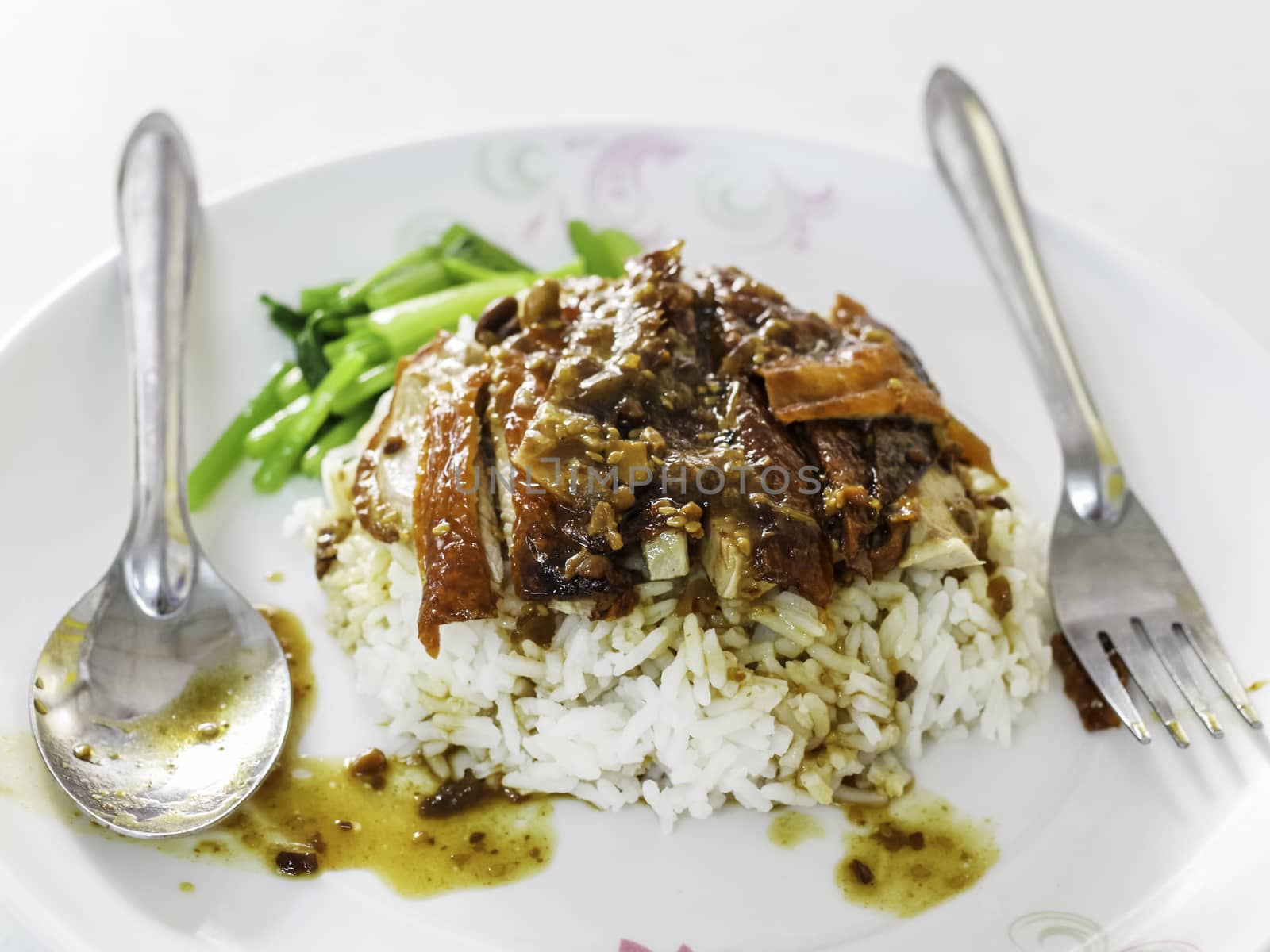 Rice with roast duck, Food menu