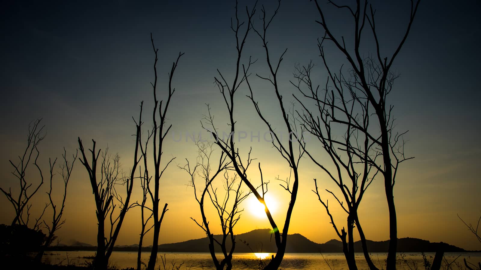 Dried tree beside lake and mountain with sunset sky by pixbox77
