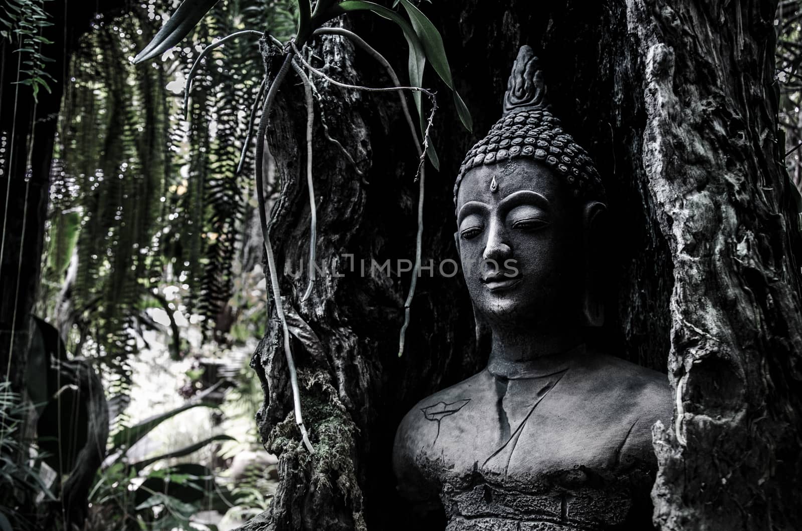 Buddha idol in old tree for garden decoration