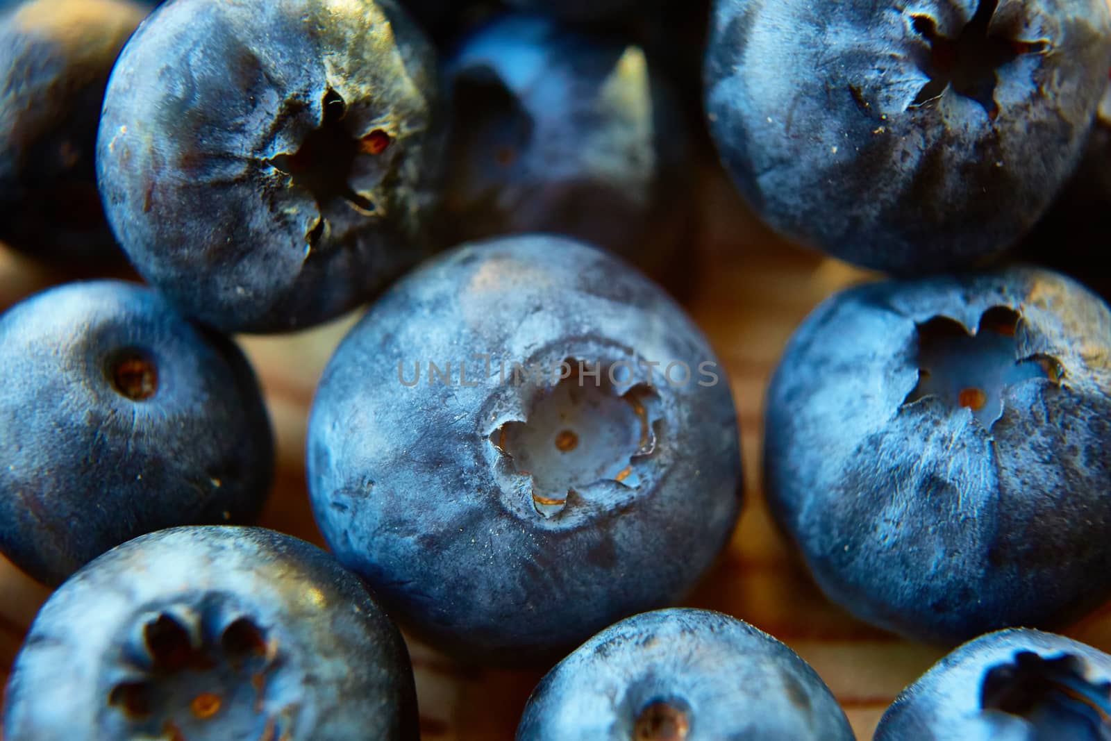 Freshly picked blueberries on wooden background. Shallow dof