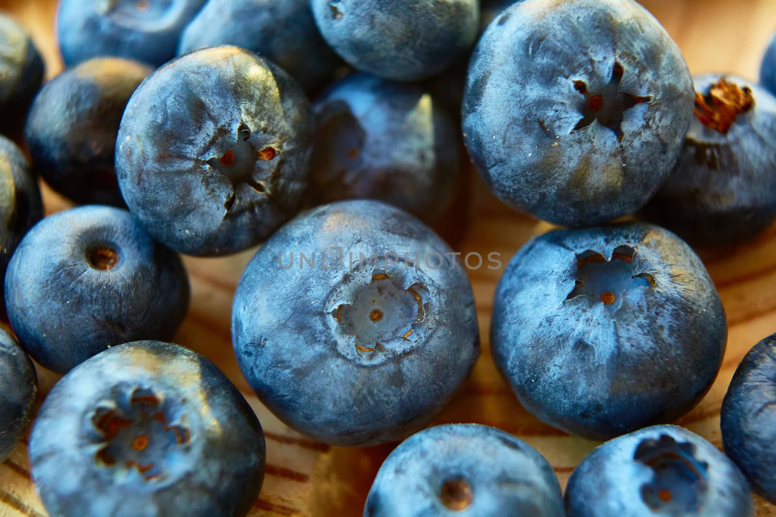 Freshly picked blueberries on wooden background. Shallow dof