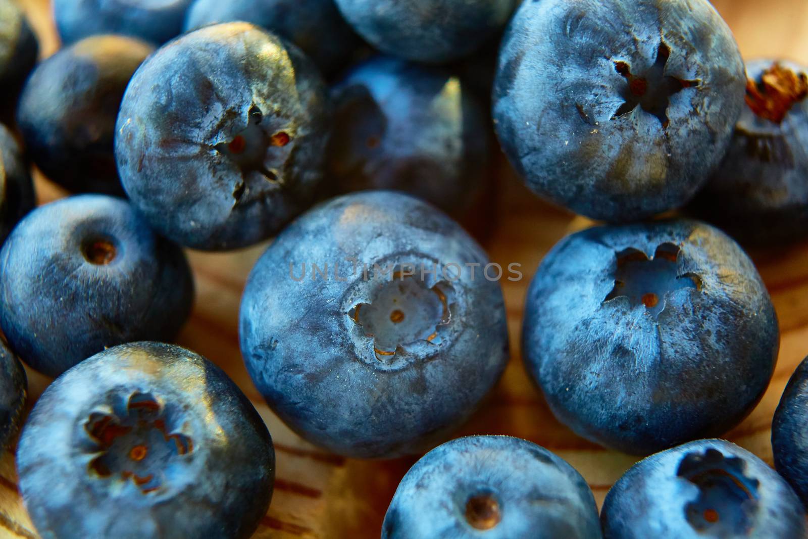 Freshly picked blueberries on wooden background. Shallow dof