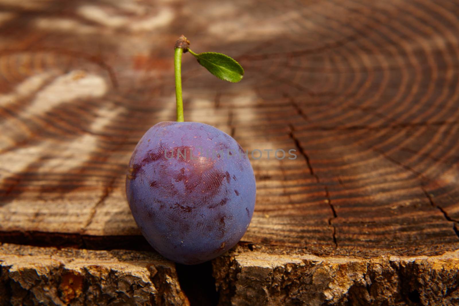 fresh plum on wooden table. Shallow dof