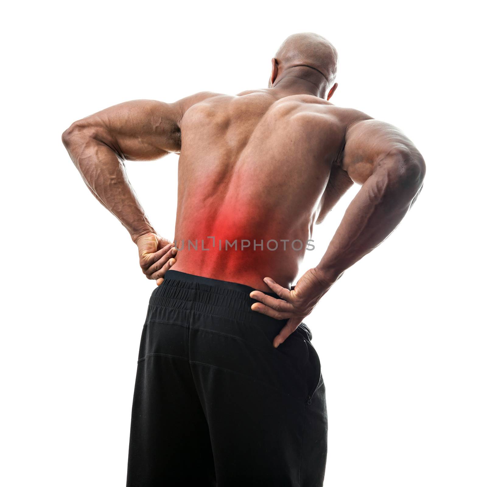 Lower Back Pain by graficallyminded