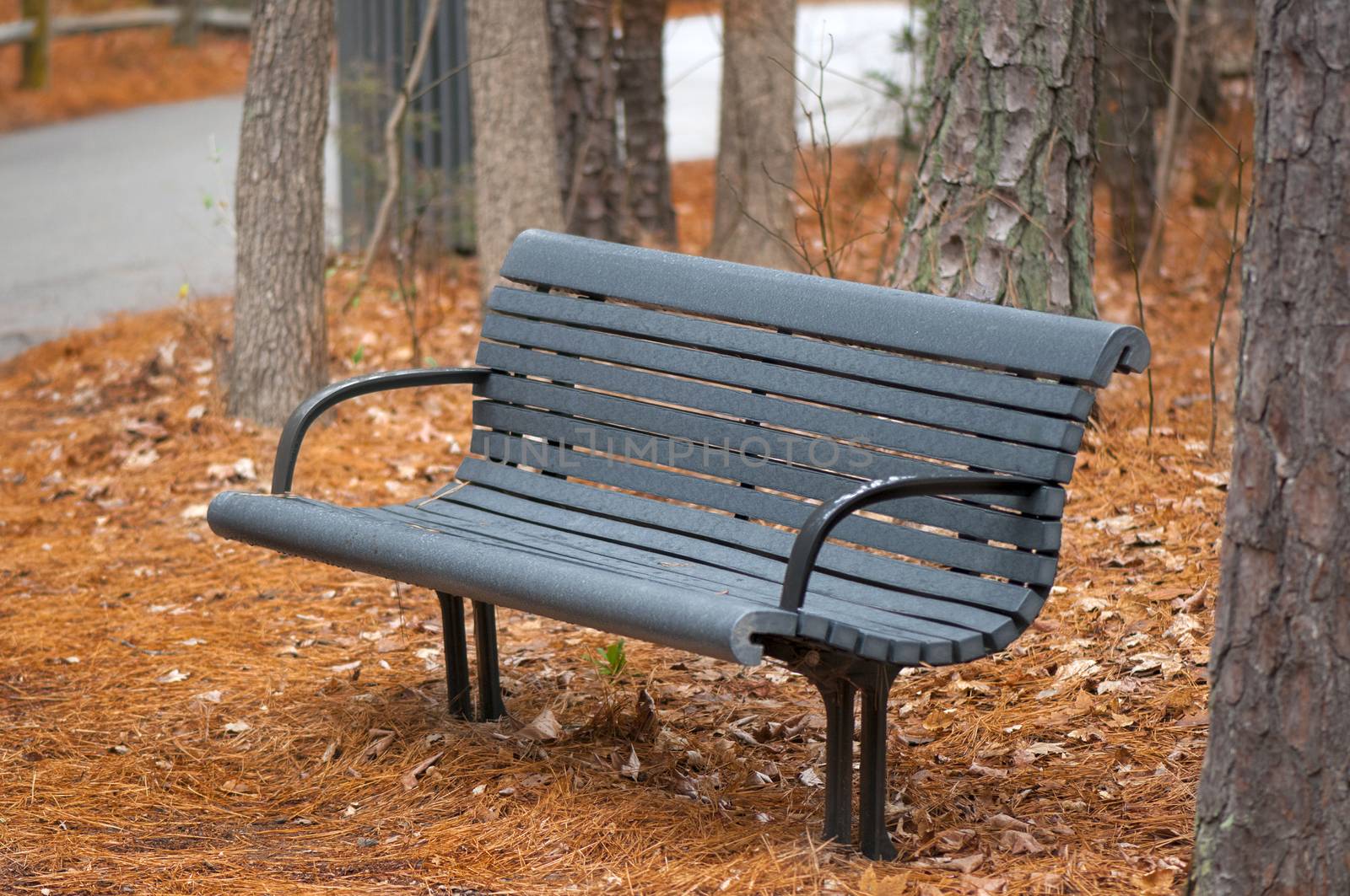 An empty park bench during autumn season