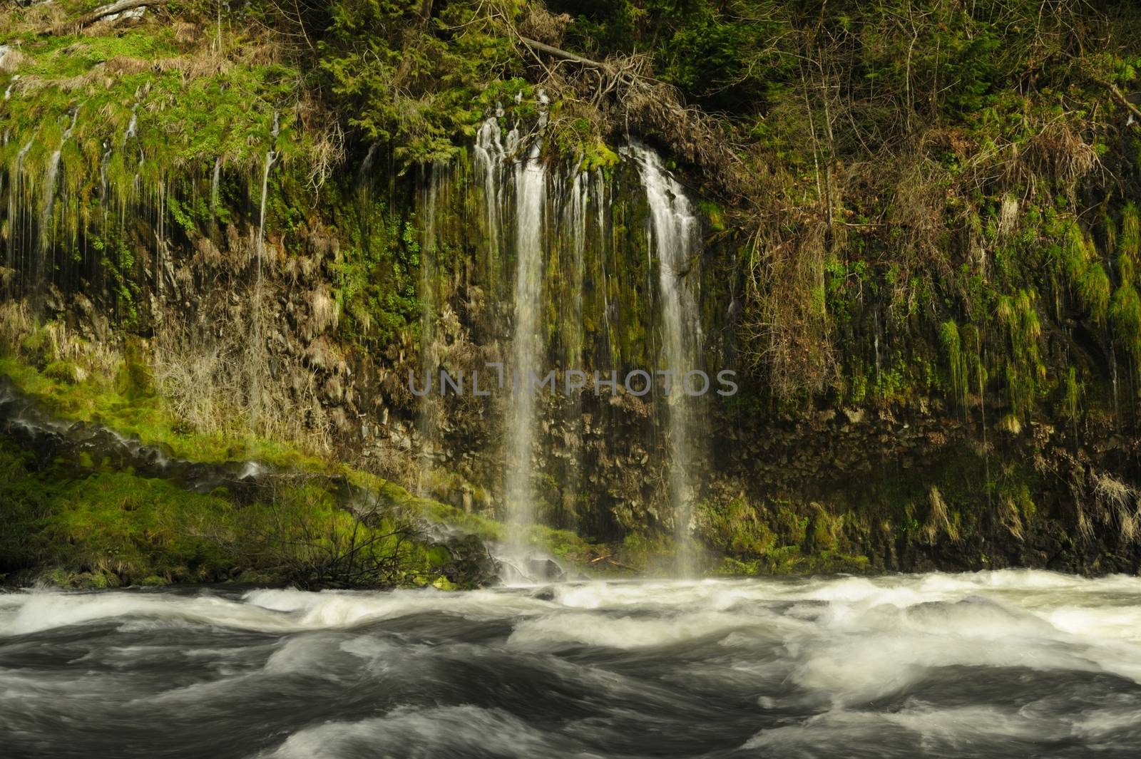 waterfall on a summer day