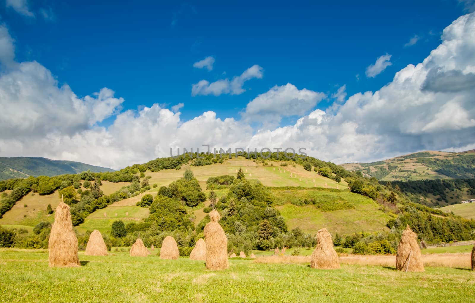 haystacks on field in the Ukrainian Carpathians by Chechotkin