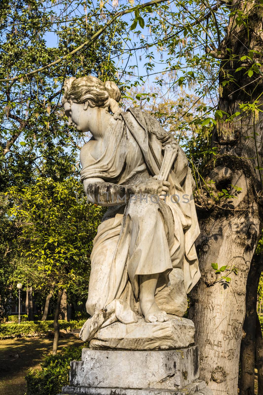 Woman Statue in Villa Giulia, Palermo, Italy by ankarb