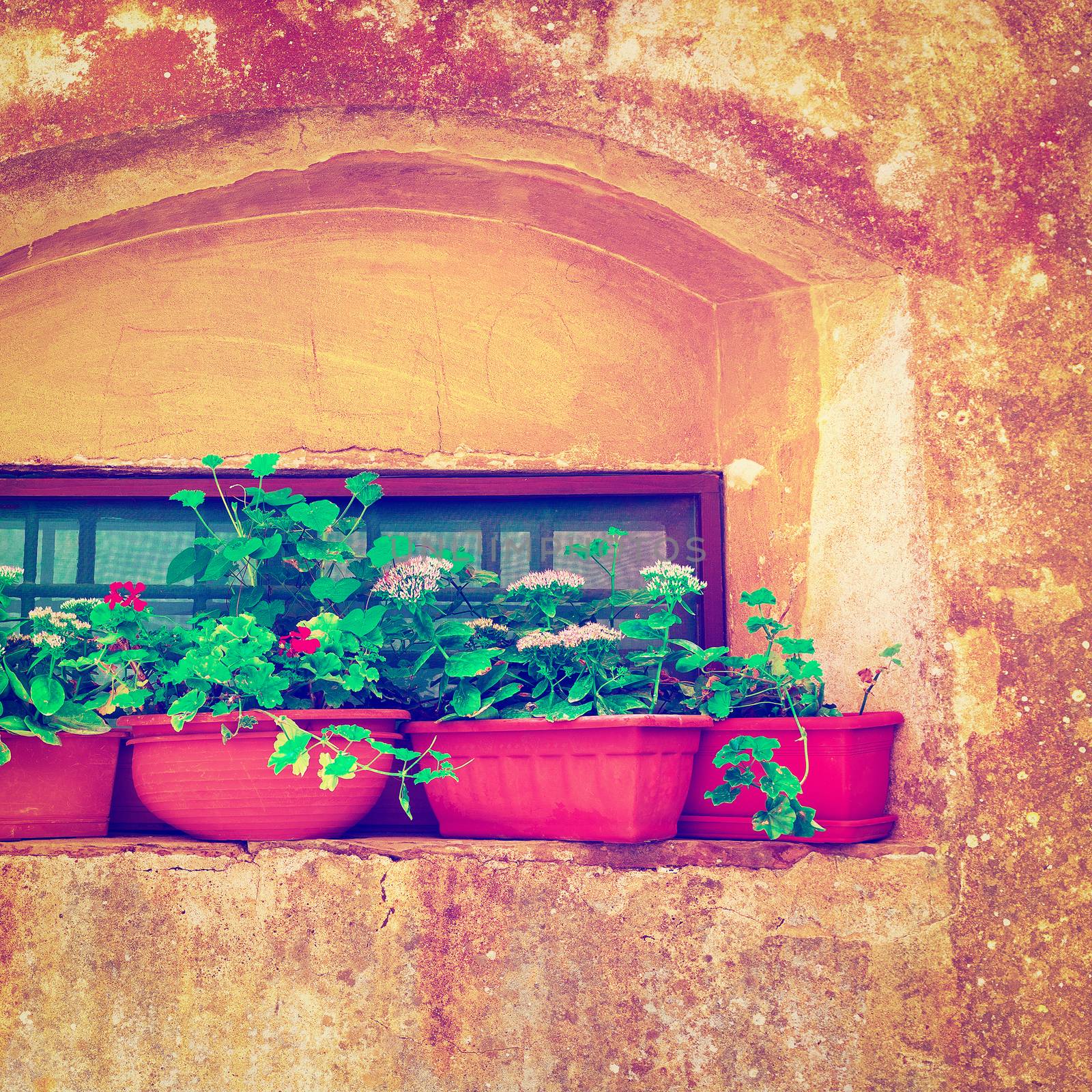 Decorated Window  by gkuna