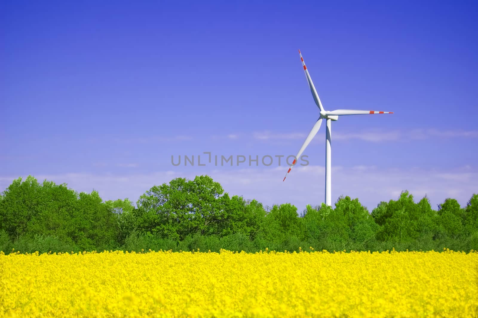 Windmill conceptual image. by satariel