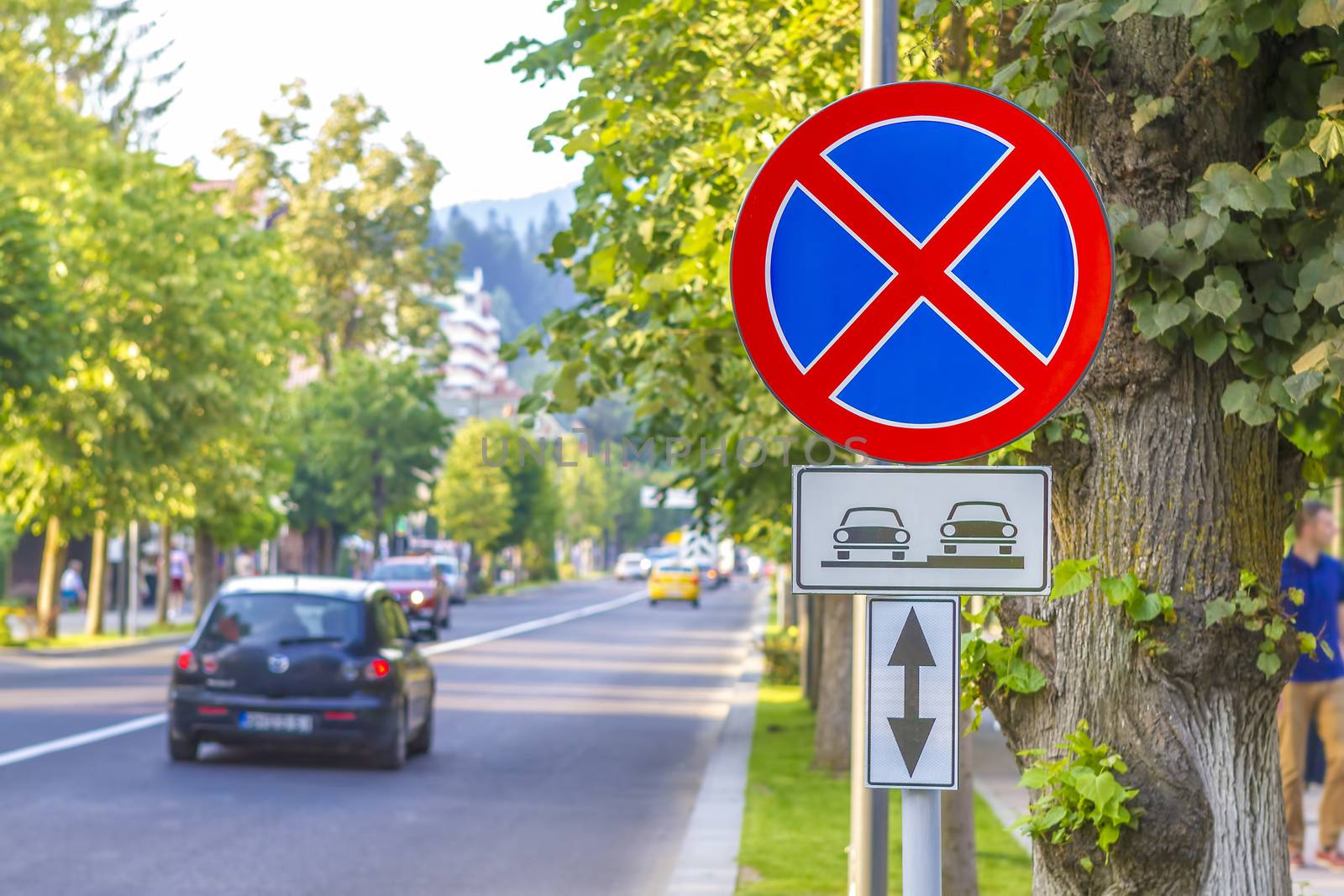 warning tow away zone sign near a tree