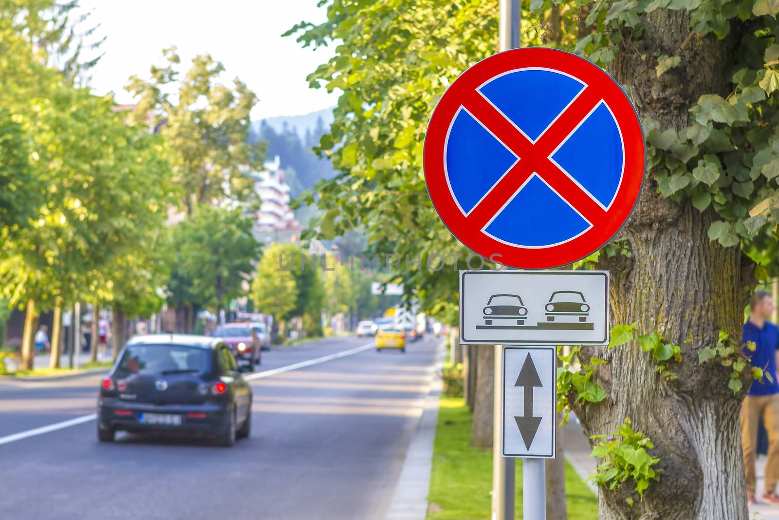 warning tow away zone sign near a tree