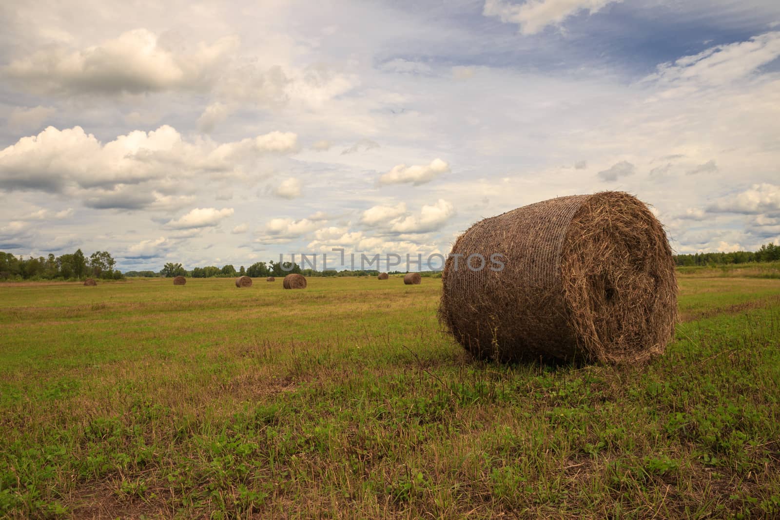 the bale of hay by Mieszko9