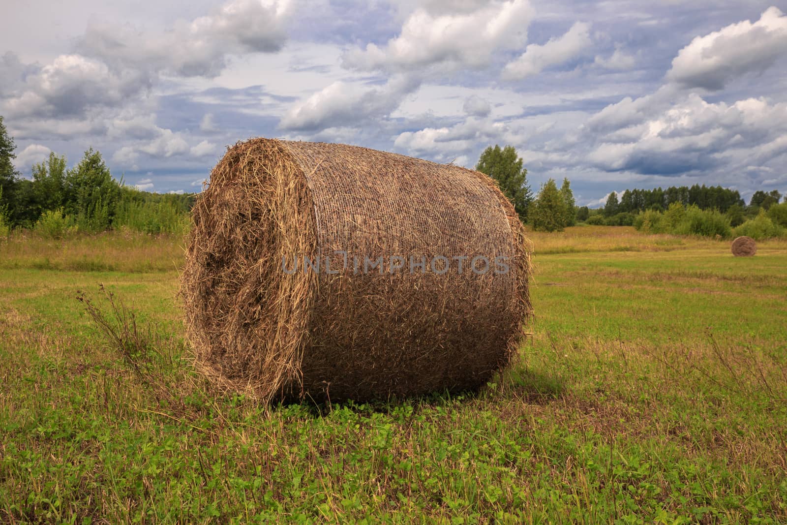 the bale of hay lying on the field against the sky