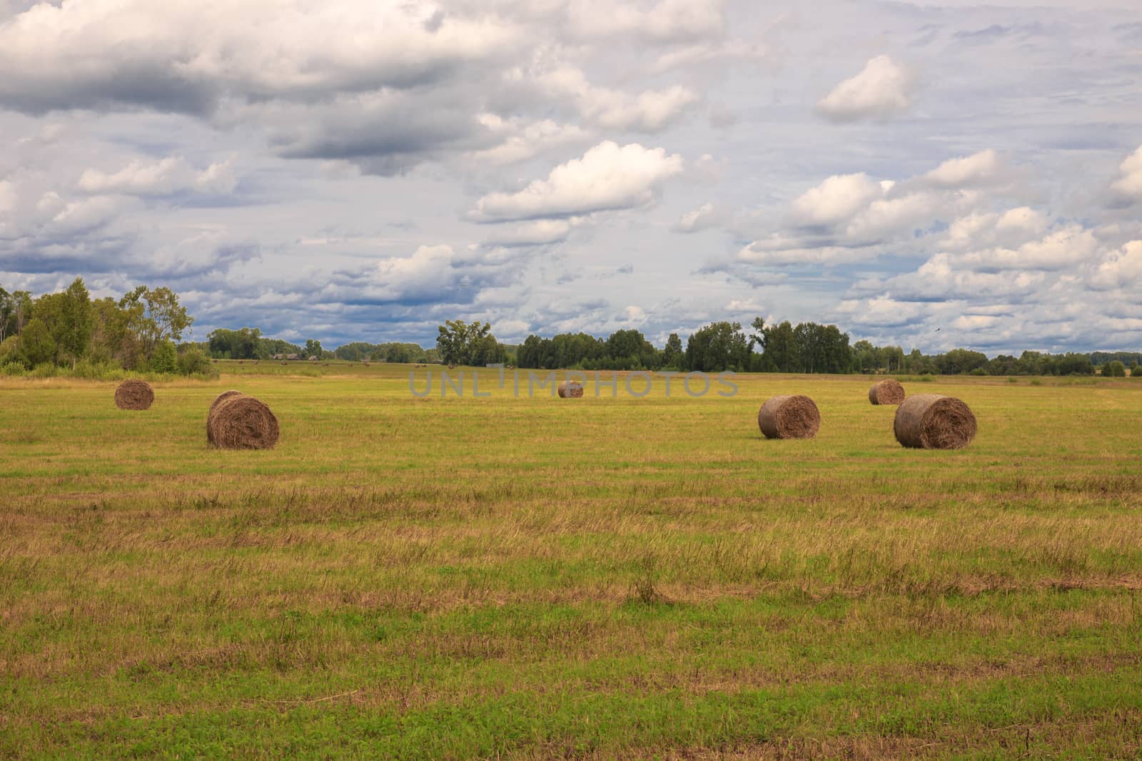 the bale of hay lying on the field against the sky