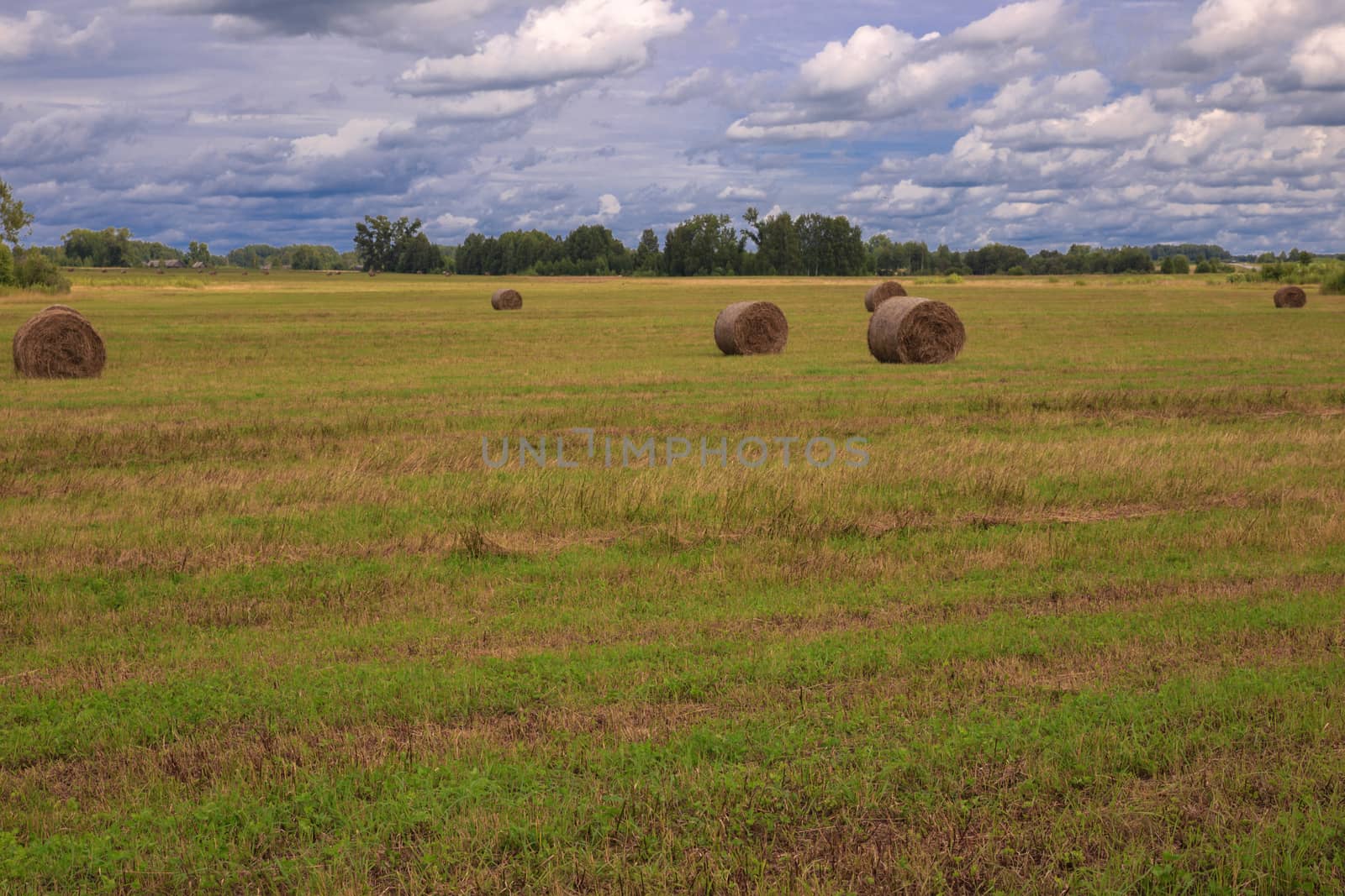 the bale of hay lying on the field against the sky