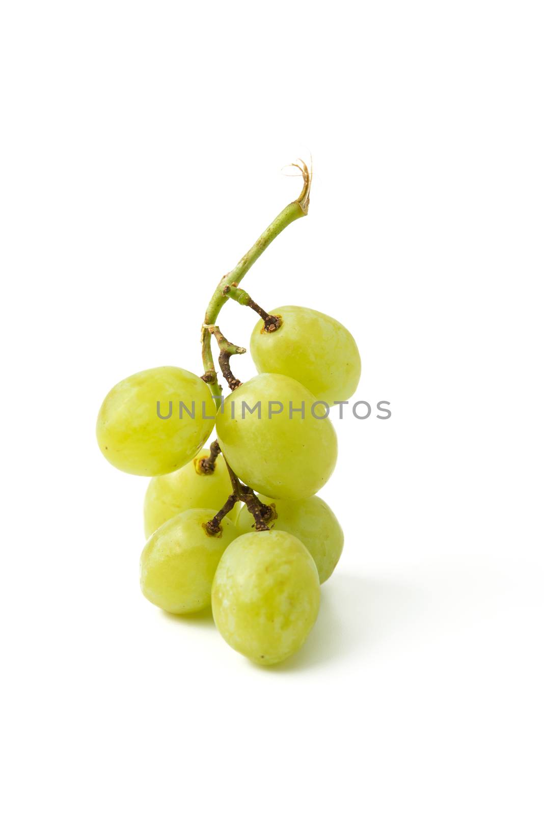 green grapes by antpkr