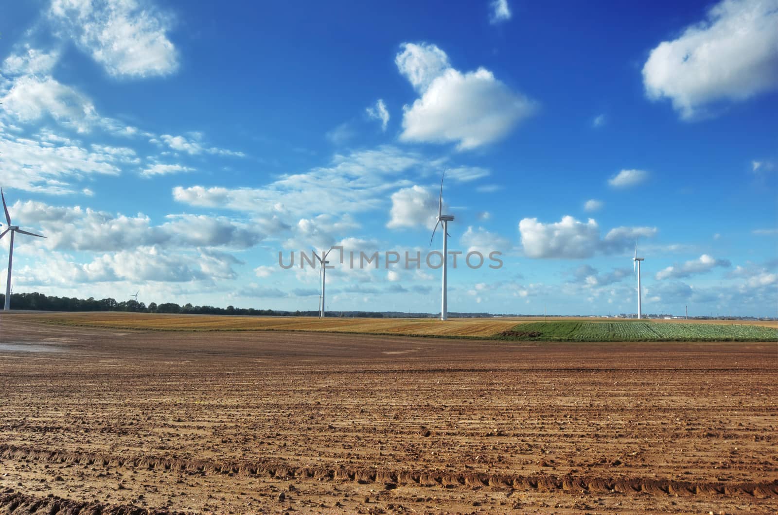 Windmills on the plowed field.