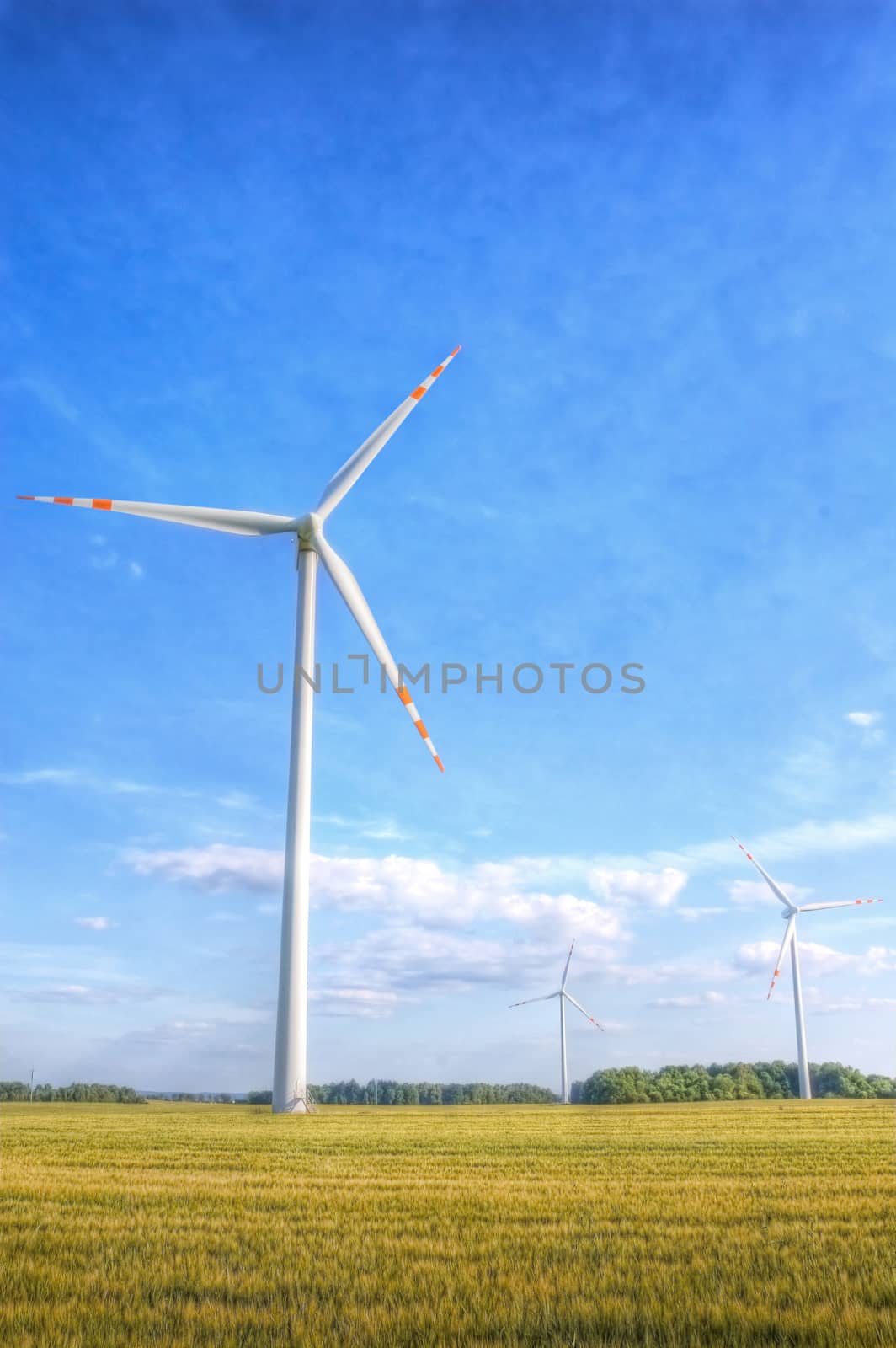 Windmill conceptual image. Windmills on the green field.