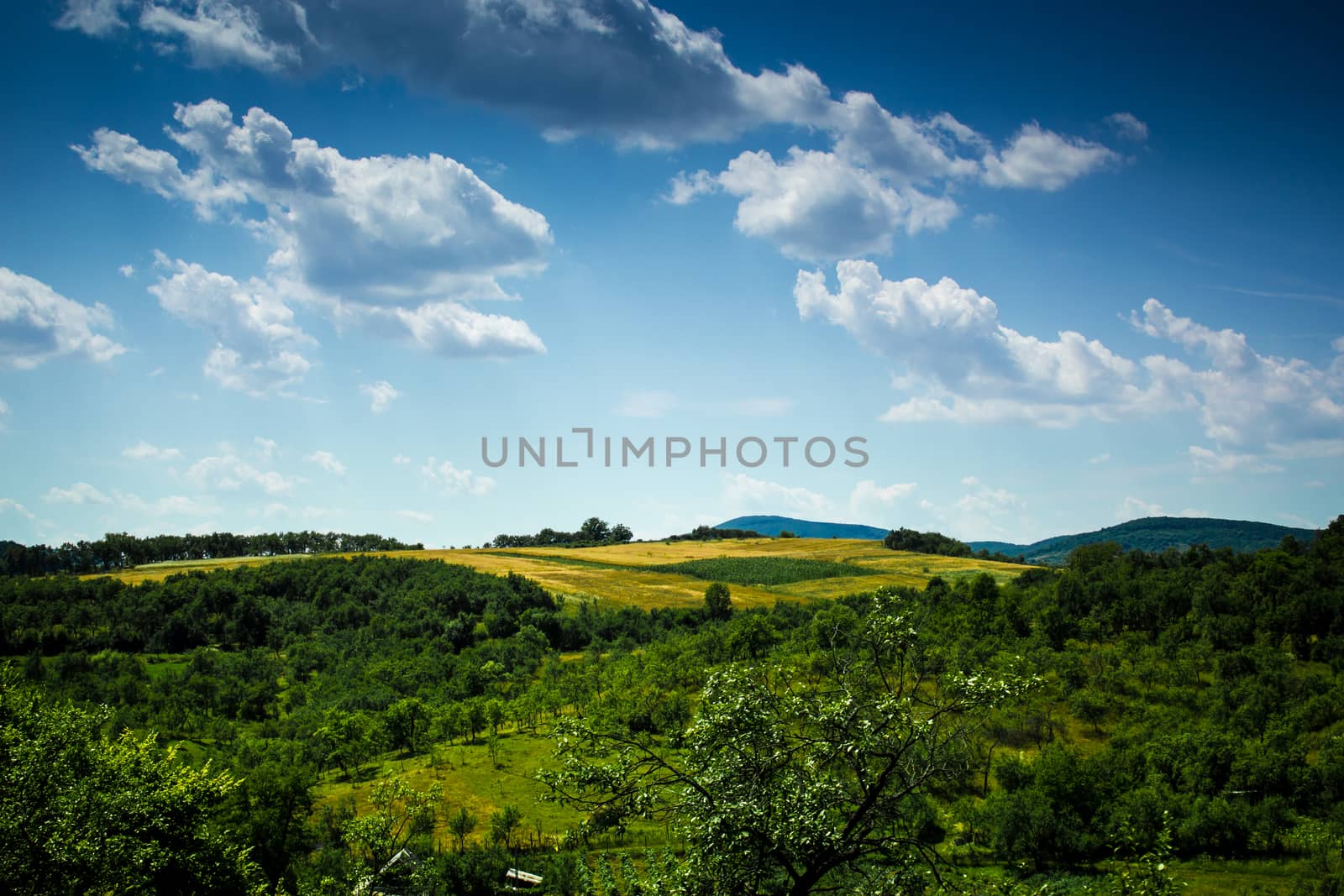 Landscape in Romania by Madrolly