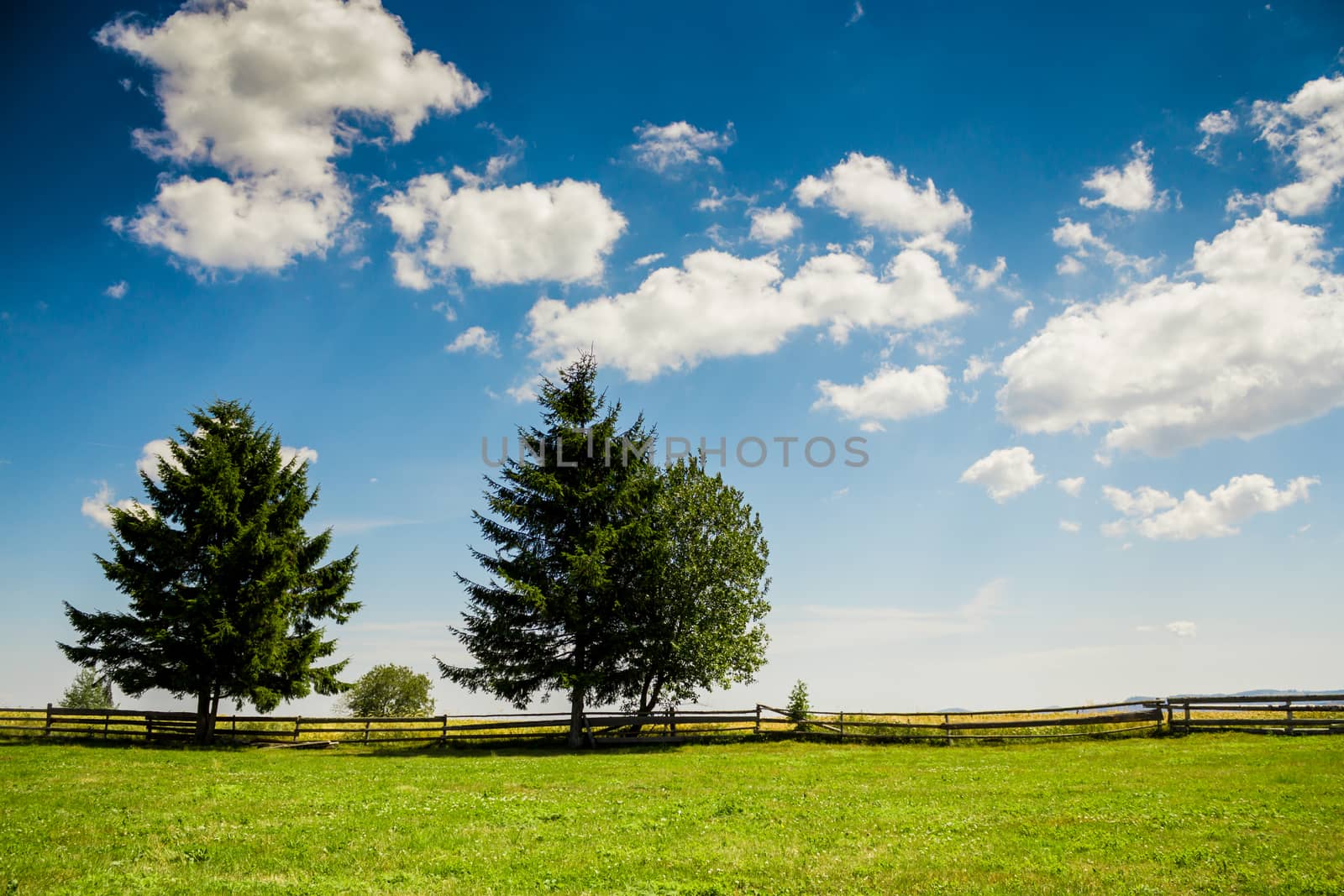 Shot took in a cloudy day somewhere in Marisel, Cluj, Romania