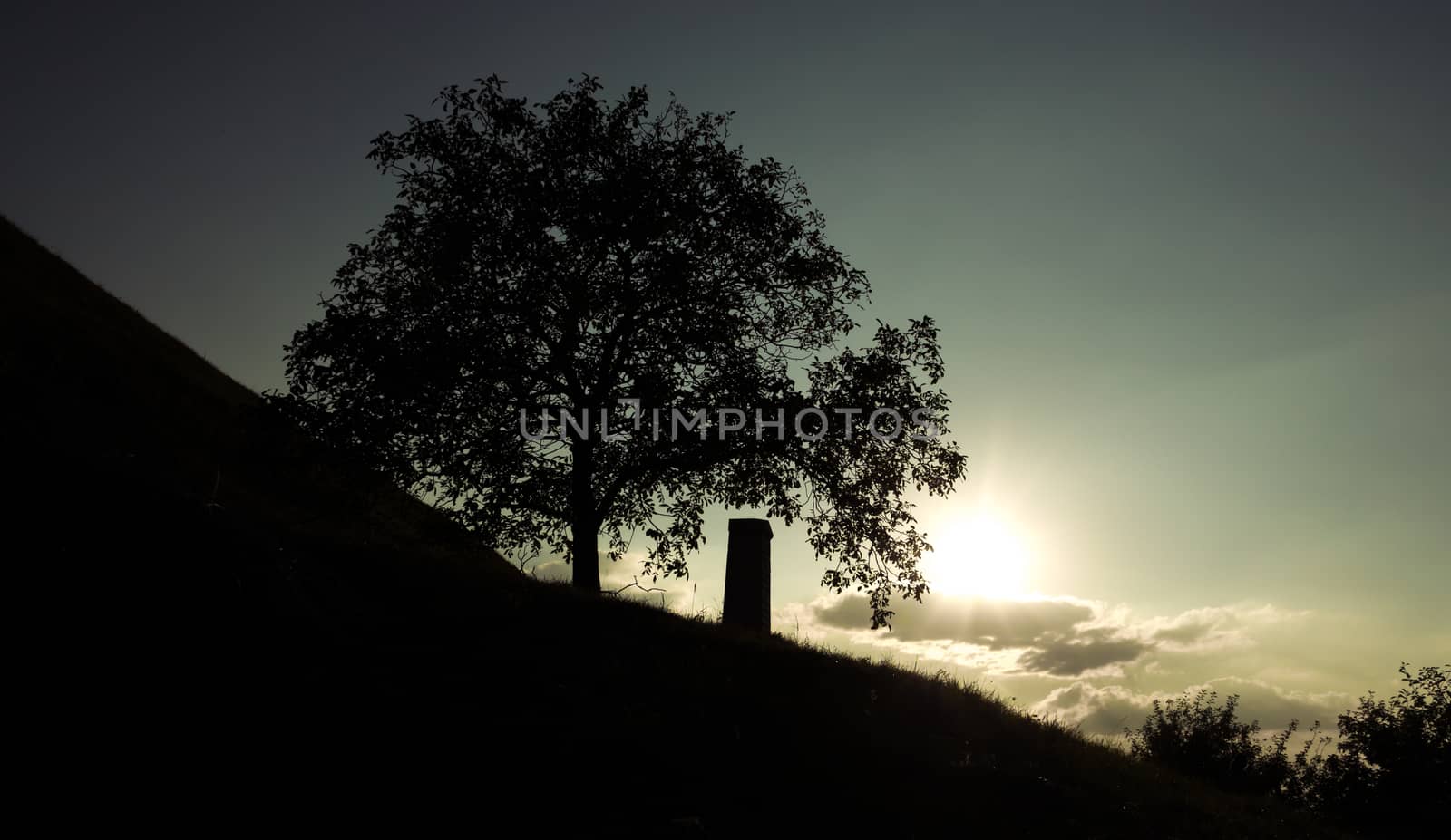 Silhouette of a monument next to a tree by Madrolly